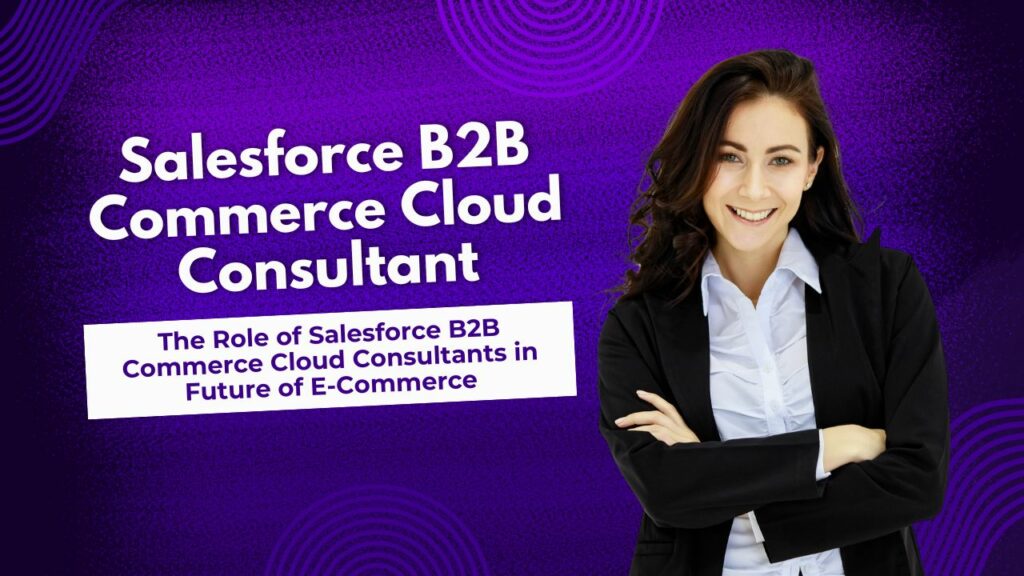 Salesforce B2B Commerce Cloud Consultant