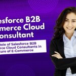Salesforce B2B Commerce Cloud Consultant