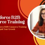 Salesforce B2B Commerce Training