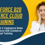 salesforce b2b commerce cloud training